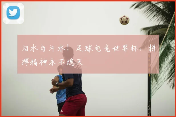 泪水与汗水！足球电竞世界杯，拼搏精神永不熄灭