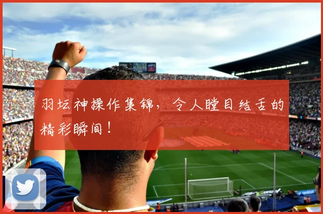 羽坛神操作集锦，令人瞠目结舌的精彩瞬间！